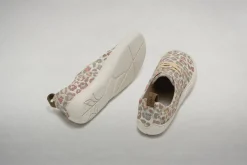 Aopri leo><noscript><img width=