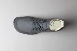 Arni><noscript><img width=