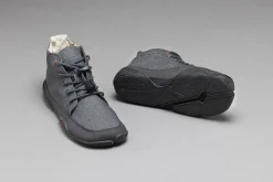 Arni><noscript><img width=