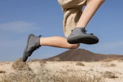 Arnidois><noscript><img width=