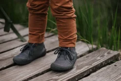 Arnidois><noscript><img width=