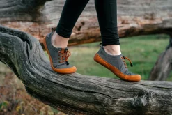 Arnow><noscript><img width=