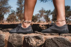 Arnow><noscript><img width=