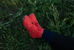 Atmo><noscript><img width=