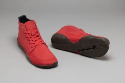 Atmo><noscript><img width=