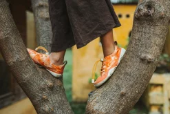 Borbo><noscript><img width=