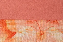 Borbo><noscript><img width=