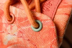 Borbo><noscript><img width=