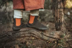 Bruklin marone><noscript><img width=