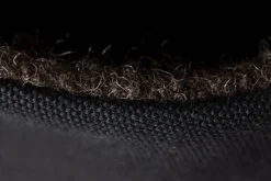 Canva ash><noscript><img width=