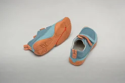 Cotinga><noscript><img width=