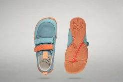 Cotinga><noscript><img width=