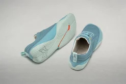 Cotinga><noscript><img width=