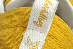 Cotinga><noscript><img width=