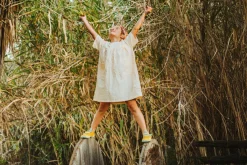 Cotinga><noscript><img width=