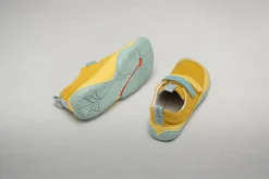 Cotinga><noscript><img width=