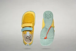 Cotinga><noscript><img width=