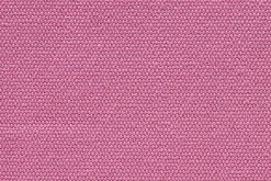 Cotinga><noscript><img width=