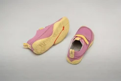 Cotinga><noscript><img width=