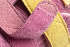 Cotinga><noscript><img width=