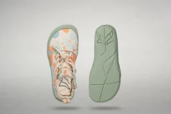 Curijo><noscript><img width=