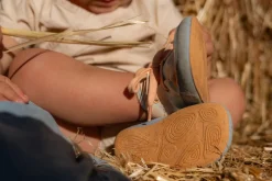 Curijo><noscript><img width=