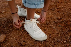 Curijo><noscript><img width=