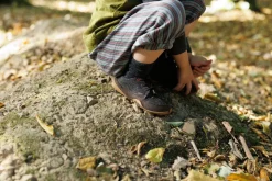 Emmer><noscript><img width=