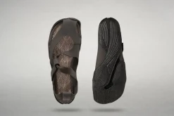 Feder><noscript><img width=