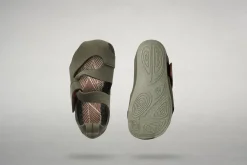 Feder><noscript><img width=