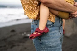 Feder><noscript><img width=