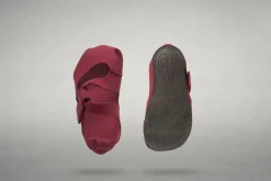 Feder><noscript><img width=