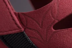 Feder><noscript><img width=