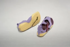 Feder><noscript><img width=