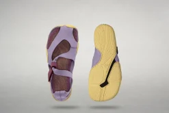 Feder><noscript><img width=