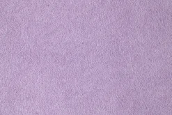 Feder><noscript><img width=