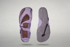 Feder><noscript><img width=