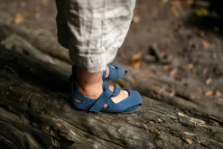 Feder><noscript><img width=