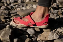 Feder><noscript><img width=