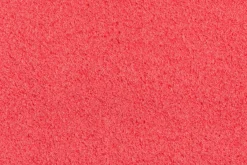 Feder><noscript><img width=