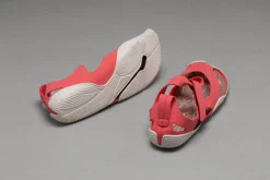 Feder><noscript><img width=