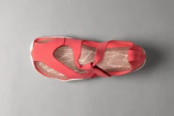 Feder><noscript><img width=