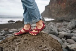 Feder><noscript><img width=