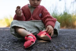 Feder><noscript><img width=