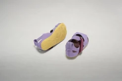 Feder><noscript><img width=