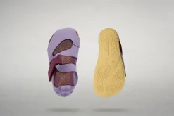 Feder><noscript><img width=