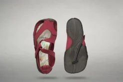 Feder><noscript><img width=