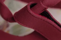 Feder><noscript><img width=