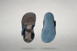 Feder><noscript><img width=