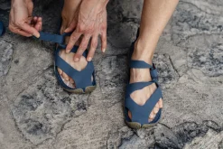 Feder><noscript><img width=